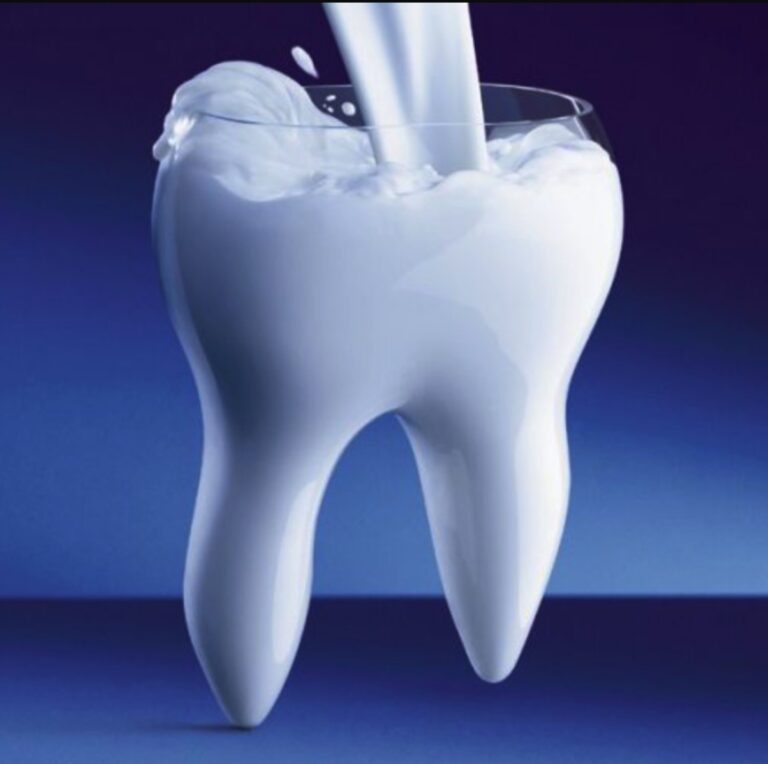 Из чего состоит зуб? Химический состав зубов